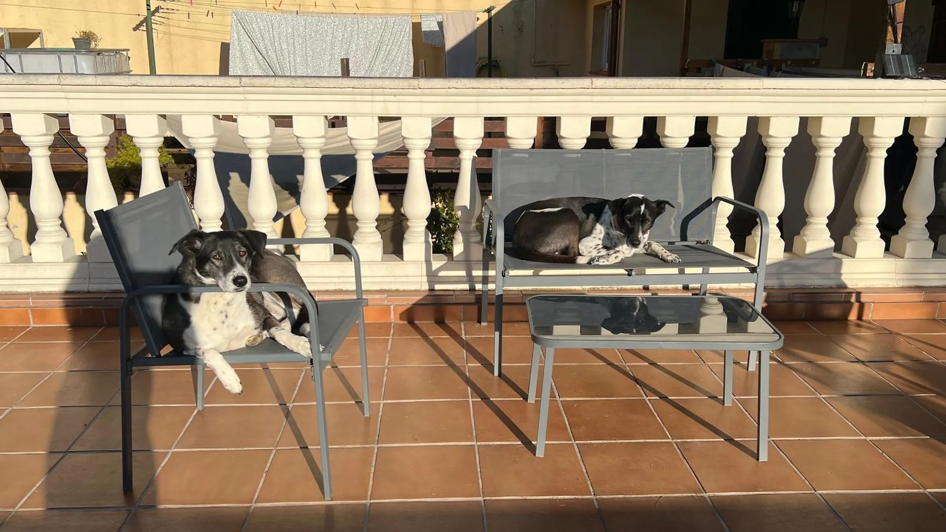 Country house La Bruixa Rural Guest House Dosrius